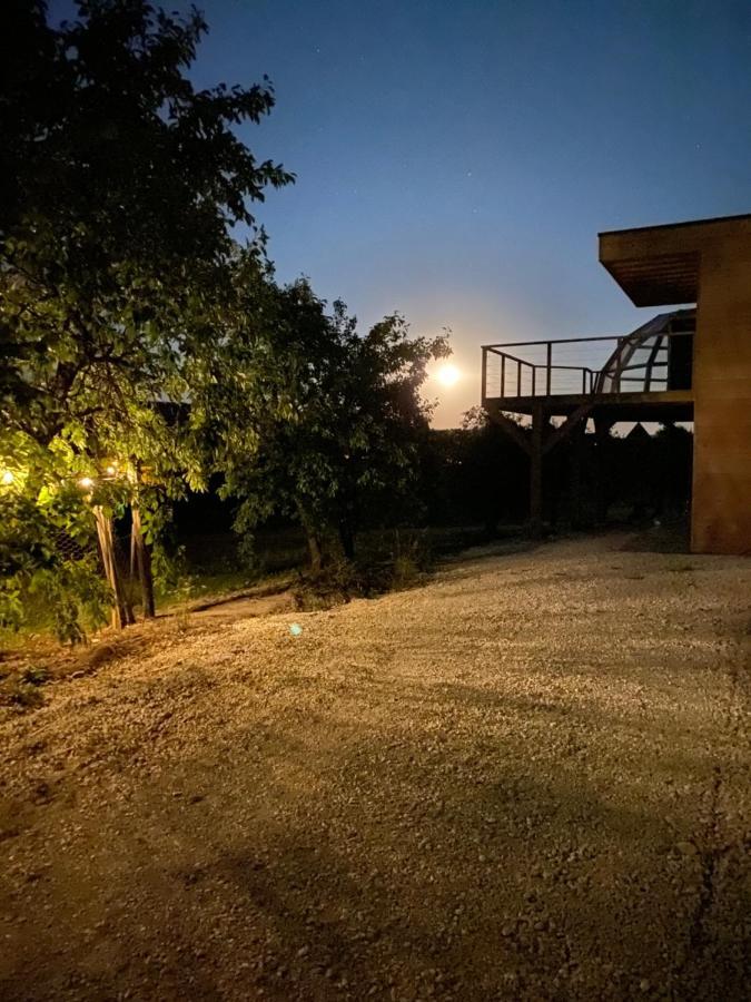 Nuit'S Feerique En Champagne Villa Meurville Exterior photo